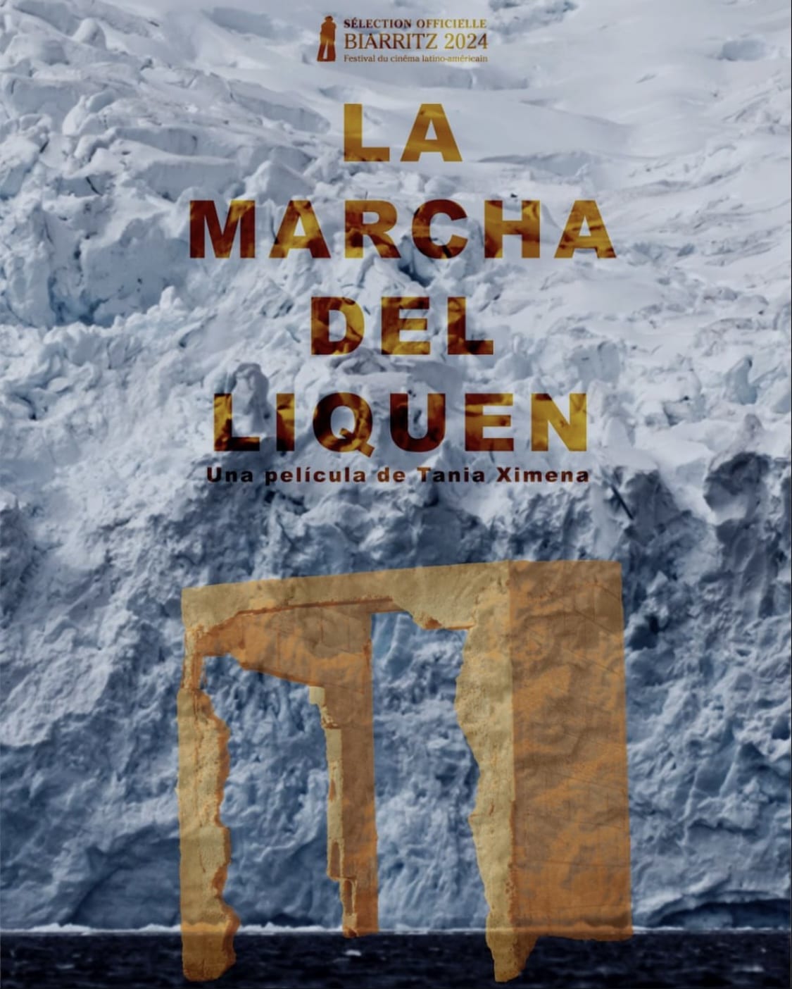 LA MARCHA DEL LIQUEN