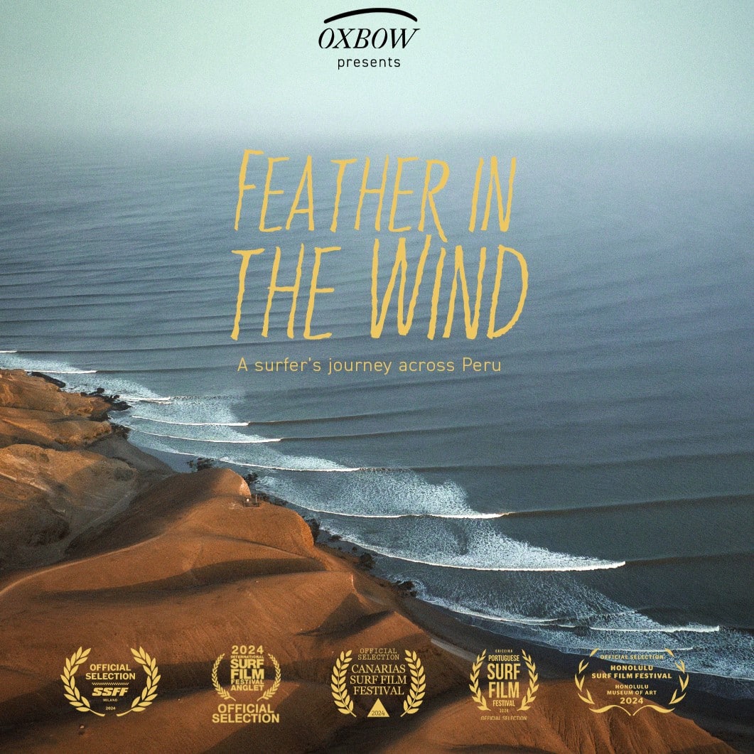 FEATHER IN THE WIND